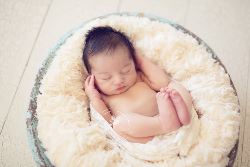 11 Day Old Baby Girl Photo Session